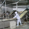 Dehydrated Garlic Granule From Factory